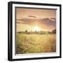 Field of Warmth Square-Kelly Poynter-Framed Photographic Print