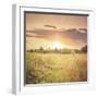 Field of Warmth Square-Kelly Poynter-Framed Photographic Print