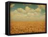 Field of Wheat with Sunflowers-A_nella-Framed Stretched Canvas
