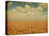 Field of Wheat with Sunflowers-A_nella-Stretched Canvas