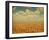 Field of Wheat with Sunflowers-A_nella-Framed Photographic Print