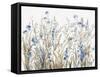 Field of Wild Blue Flowers-Asia Jensen-Framed Stretched Canvas