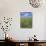 Field of Wild Flowers, Near Utande, Guadalajara, Castilla-La Mancha, Spain, Europe-Ruth Tomlinson-Photographic Print displayed on a wall