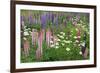 Field of Wild Lupines, Tacoma, Washington State, United States of America, North America-Richard Cummins-Framed Photographic Print