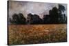 Field of Wild Poppies-Claude Monet-Stretched Canvas