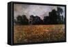 Field of Wild Poppies-Claude Monet-Framed Stretched Canvas