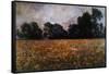 Field of Wild Poppies-Claude Monet-Framed Stretched Canvas