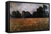 Field of Wild Poppies-Claude Monet-Framed Stretched Canvas