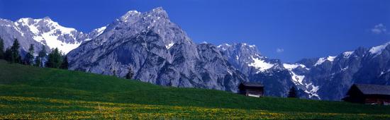 Photographic Print, , large