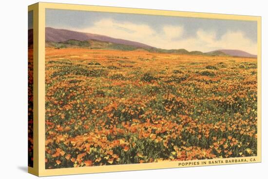 Field of Wildflowers-null-Stretched Canvas