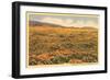 Field of Wildflowers-null-Framed Premium Giclee Print