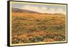 Field of Wildflowers-null-Framed Stretched Canvas