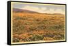 Field of Wildflowers-null-Framed Stretched Canvas