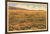 Field of Wildflowers-null-Framed Art Print