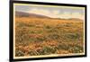 Field of Wildflowers-null-Framed Art Print