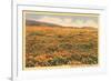 Field of Wildflowers-null-Framed Art Print