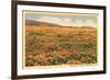 Field of Wildflowers-null-Framed Art Print