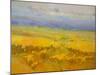 Field of Yellow Flowers-Vahe Yeremyan-Mounted Art Print