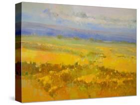 Field of Yellow Flowers-Vahe Yeremyan-Stretched Canvas