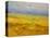 Field of Yellow Flowers-Vahe Yeremyan-Stretched Canvas