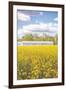 Field of Yellow I-Donnie Quillen-Framed Art Print