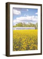 Field of Yellow I-Donnie Quillen-Framed Art Print