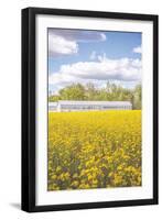 Field of Yellow I-Donnie Quillen-Framed Art Print