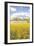 Field of Yellow I-Donnie Quillen-Framed Art Print