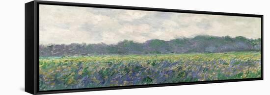 Field of Yellow Irises at Giverny, 1887-Claude Monet-Framed Stretched Canvas