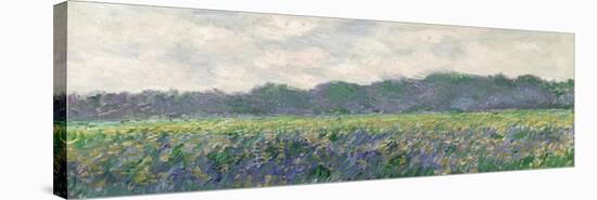 Field of Yellow Irises at Giverny, 1887-Claude Monet-Stretched Canvas