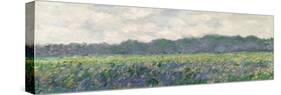 Field of Yellow Irises at Giverny, 1887-Claude Monet-Stretched Canvas