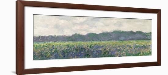 Field of Yellow Irises at Giverny, 1887-Claude Monet-Framed Giclee Print
