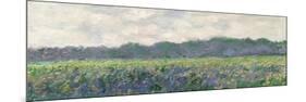 Field of Yellow Irises at Giverny, 1887-Claude Monet-Mounted Giclee Print