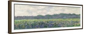 Field of Yellow Irises at Giverny, 1887-Claude Monet-Framed Premium Giclee Print