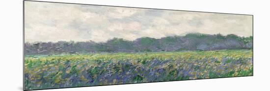Field of Yellow Irises at Giverny, 1887-Claude Monet-Mounted Premium Giclee Print