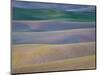 Field Patterns at Dawn, Palouse, Washington State, USA-Jean Brooks-Mounted Photographic Print