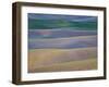 Field Patterns at Dawn, Palouse, Washington State, USA-Jean Brooks-Framed Photographic Print