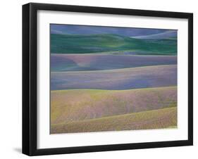 Field Patterns at Dawn, Palouse, Washington State, USA-Jean Brooks-Framed Photographic Print