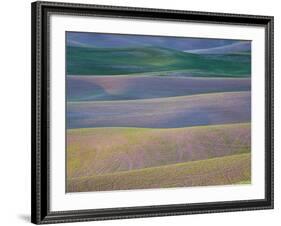 Field Patterns at Dawn, Palouse, Washington State, USA-Jean Brooks-Framed Photographic Print