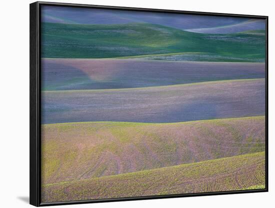 Field Patterns at Dawn, Palouse, Washington State, USA-Jean Brooks-Framed Photographic Print