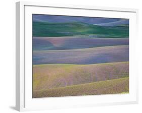 Field Patterns at Dawn, Palouse, Washington State, USA-Jean Brooks-Framed Photographic Print