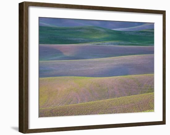 Field Patterns at Dawn, Palouse, Washington State, USA-Jean Brooks-Framed Photographic Print