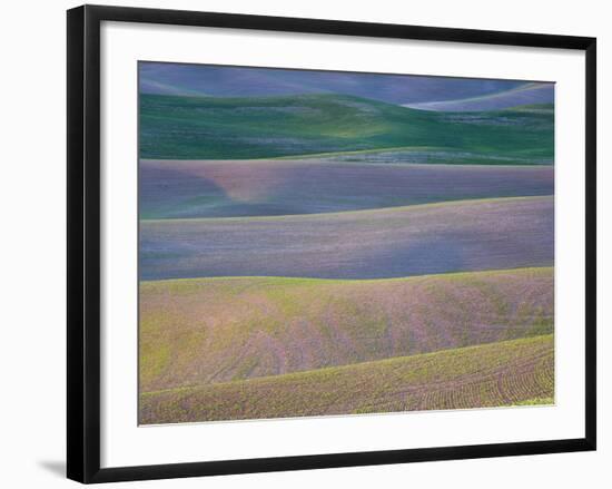 Field Patterns at Dawn, Palouse, Washington State, USA-Jean Brooks-Framed Photographic Print