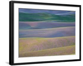 Field Patterns at Dawn, Palouse, Washington State, USA-Jean Brooks-Framed Photographic Print