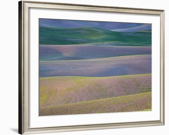 Field Patterns at Dawn, Palouse, Washington State, USA-Jean Brooks-Framed Photographic Print