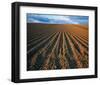 Field Perspective-null-Framed Art Print