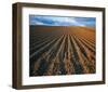 Field Perspective-null-Framed Art Print