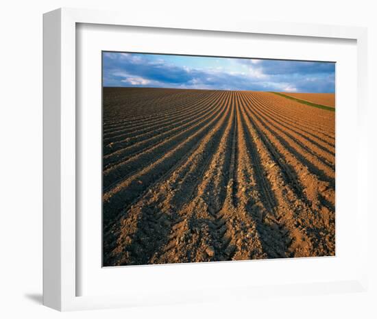 Field Perspective-null-Framed Art Print