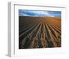 Field Perspective-null-Framed Art Print