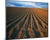 Field Perspective-null-Mounted Art Print